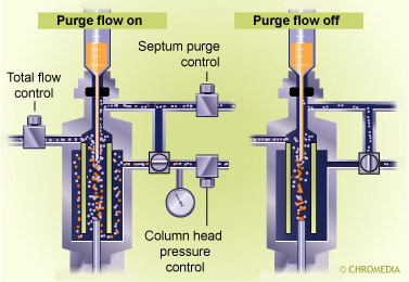 Splitless flow principle