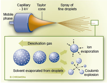 The desolvation gas speeds up the evaporation and explosions