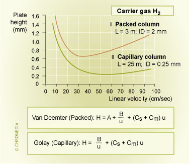 Efficiency packed vs capillary column