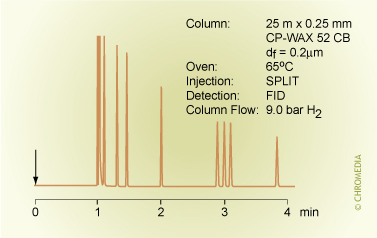 Aromatics on a capillary GC column