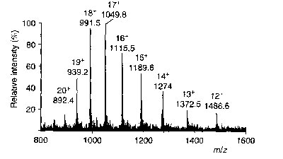 ESI spectrum of Lysozyme