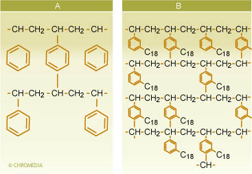 Styrenedivinylbenzene without (A) and with C18 (B)