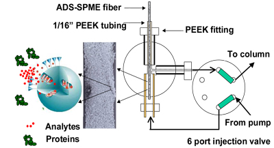 Solid Phase Micro Extraction: SPME Fiber and HPLC Interface