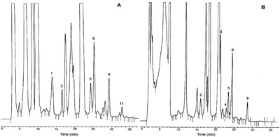 RP-HPLC-FL chromatograms of (A) white wine and (B) red wine