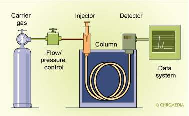 Introduction to GC - Introduction to GC - Chromedia