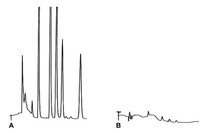 What could be an explanation for the different chromatogram? 