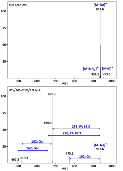 ESI MS and MS/MS spectrum of digalactosyl diacylglycerol: 
<P> DGDG 18:3/16:0