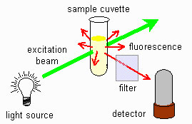 Fig 1. Fluorimeter scheme