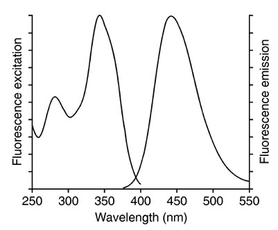 Excitation (left) fluorescence spectrum (right) 
