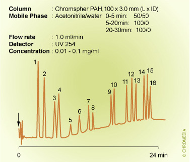 PAH analysis by gradient elution